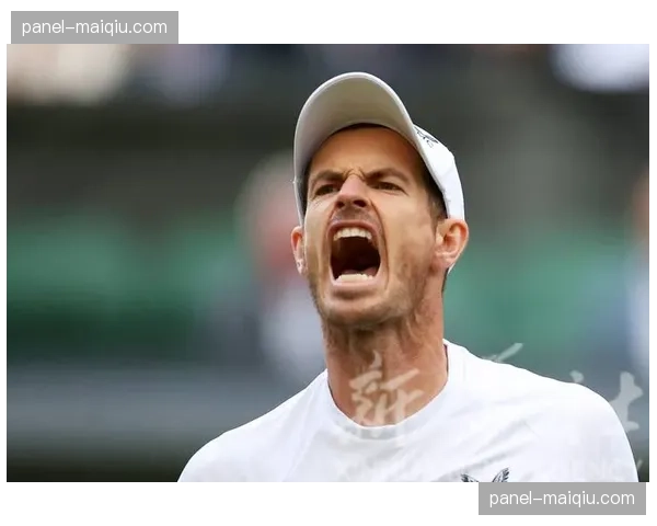 穆雷确认将参加2026年温网，暗示这可能是其职业生涯最后一季