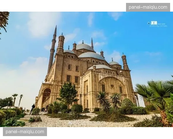 镜头定格：埃及联赛夺冠时刻，老将阿布杜拉被年轻队友高高抛起庆祝