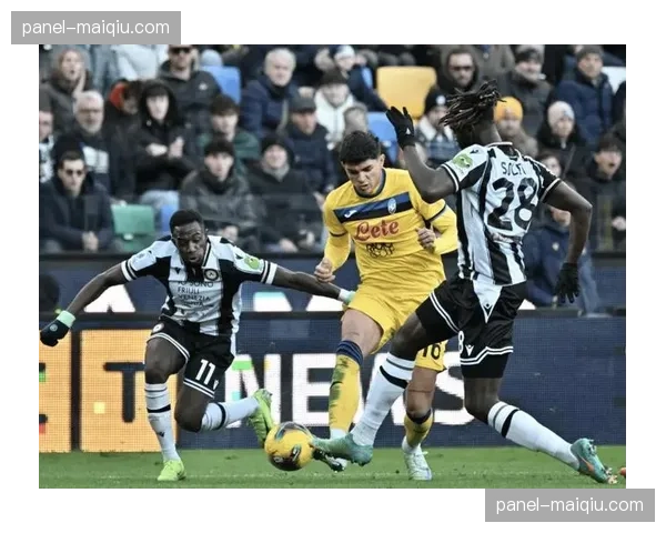 维罗纳采用3-5-2体系，注重中场人数优势与快速转换反击